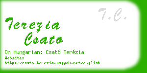 terezia csato business card