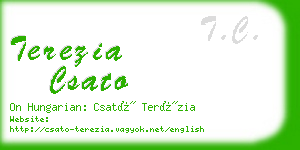 terezia csato business card